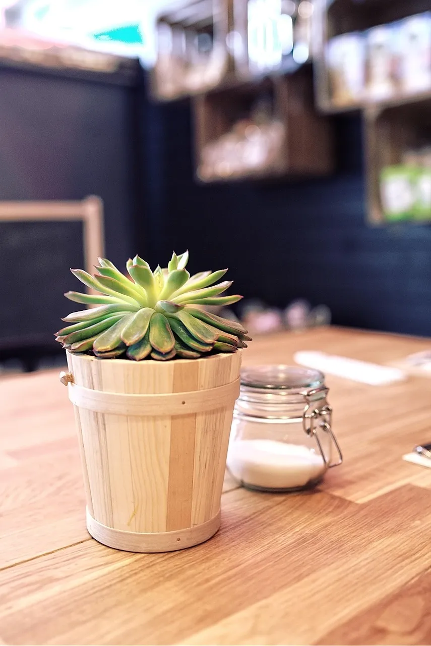 U-Village Restaurant on Urbanspoon